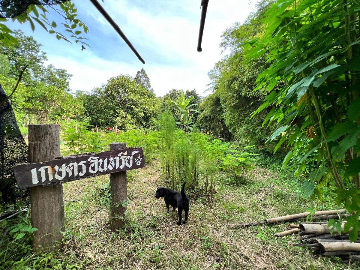Phow Homestay Ban Mai  Exterior photo